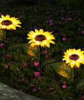 Sunflower Solar Garden Stake Lights Set Of 2 For Outdoor Decor 26 Inch Garden Path Yard Accent Stakes That Glow Up At Night