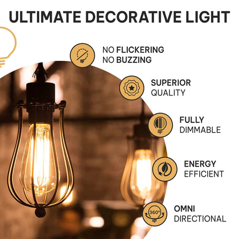 Vintage Edison Light Bulbs 60W 4 Pack ST58 Squirrel Filament Clear Glass E26 E27 Dimmable Warm White bulb in fixture.
