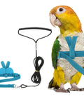 Parrot Bird Harness And Leash, Adjustable Lightweight Flight Training Rope With Wing Vest in Comfortable Blue M size.