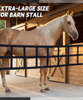 Dang Solid 12 By 20 Foot Polyester Horse Stall Guard featuring no sweat adjustable straps in barn setting with horse.