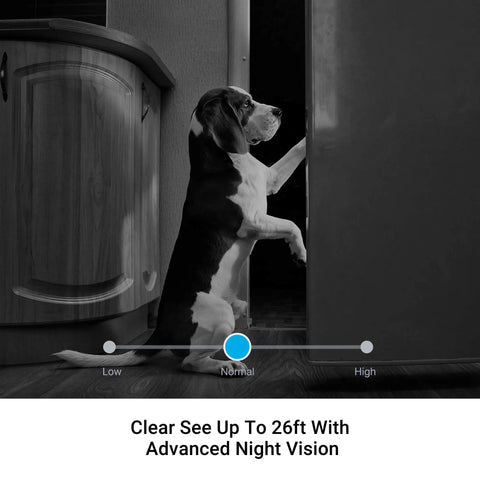 Dog captured at night using 1080p Indoor Security Camera With AI Motion Detection And 2 Way Audio, showcasing night vision clarity.