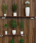 Straight Heavy Duty Black Floating Shelf Brackets Solid Stainless Steel Wall Mounted Supports supporting plants on wooden wall.