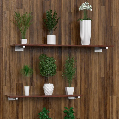 Straight Heavy Duty Black Floating Shelf Brackets Solid Stainless Steel Wall Mounted Supports supporting plants on wooden wall.