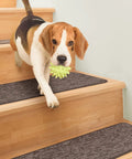 Dog on wooden stairs with Skid Resistant Carpet Stair Treads Set Of 15 Pebble Gray 8 Inches By 23.5 Inches With Non Slip Rubber