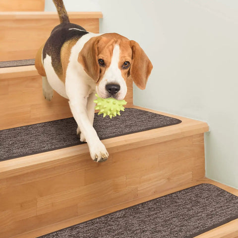 Dog on wooden stairs with Skid Resistant Carpet Stair Treads Set Of 15 Pebble Gray 8 Inches By 23.5 Inches With Non Slip Rubber