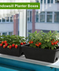 Six Pack Deck Railing Planter Boxes With Adjustable Brackets In Black For Flowers Herbs And Strawberries, seen on windowsill with plants