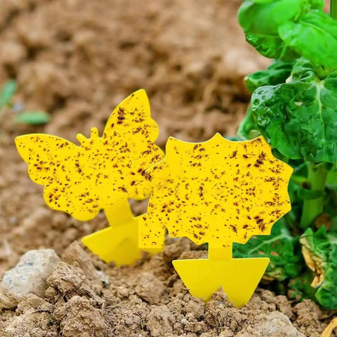 Two yellow butterfly and sunflower sticky traps in soil, part of Zero Sweat 58 Pack Yellow Sticky Gnat Traps For Indoor Plants.