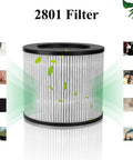 Two Pack Replacement Filter for Bissell 2801 2780 2780A 27809 MyAir Personal, high efficiency carbon filter with airflow visuals