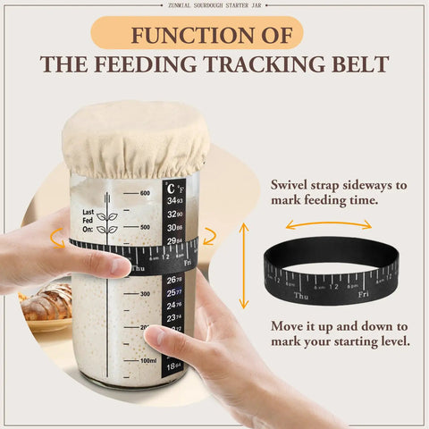 Hands adjusting feeding band on 24 oz sourdough starter kit with cloth cover and date marking, highlighting usage for beginners and pros.