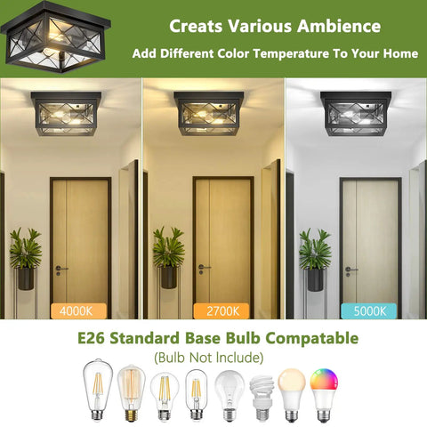 Farmhouse Dope 2 Light Ceiling Fixture In Black Flush Mount With Clear Glass Shade And Square Metal Cage showing color temperatures.