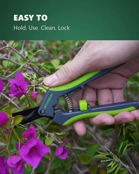 sharp garden scissors Two Pack 6.5 Inch Pruning Shears For Gardening Ultra Sharp Garden Scissors  With Spring Loaded Mechanism Stainless Steel Bonsai Clippers Straight And