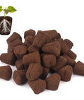Pro Grade Grow Sponges Seed Starter Plugs For Cuttings In Soil Or Trays And Planting Pods, 50 pcs, organic peat coco coir