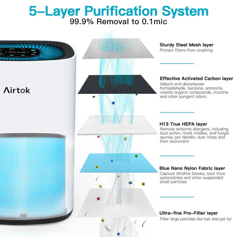 Diagram showing AP1001 Air Purifier Replacement Filter With 5 Layer Filtration System And H13 True HEPA, including all filter layers.