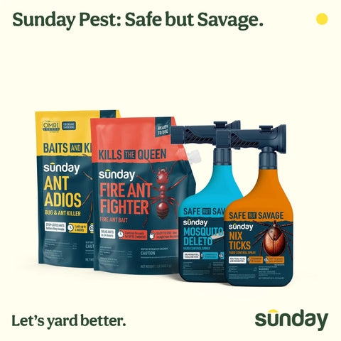 Fast Fire Ant And Harvester Ant Killer Granules, Bio Based Ant Bait with other pest control products displayed on shelf