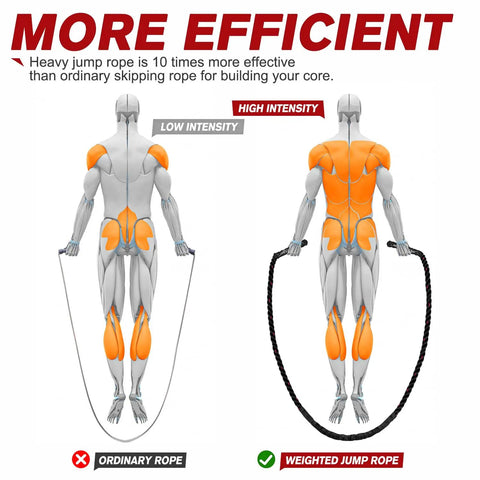 Comparison of muscle activation with ordinary rope and Heavy Weighted Jump Rope For Full Body Workout 9.2ft Length 2.8lb