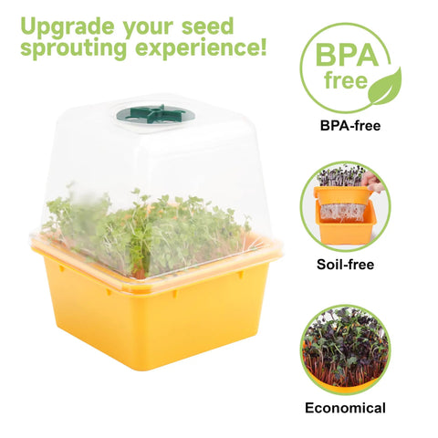 Four Pack Microgreen Sprouting Trays with Humidity Domes 5 by 5 Inches BPA Free 1.2mm Mesh Holes Sprouter Kit shown with sprouts.