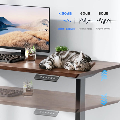 ZTTEN Dual Motor Electric Standing Desk Frame Heavy Duty Black Base with a cat sleeping on a wood top.