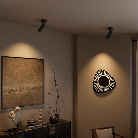 LED Dimmable Ceiling Spotlight For Indoor Accent Lighting, Hardwired Surface Mount Adjustable Spotlight in a living room setting