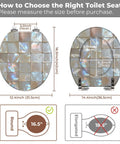 How to choose the right Round Resin Toilet Seat for Bathroom with size measurements, showing round and elongated comparisons.