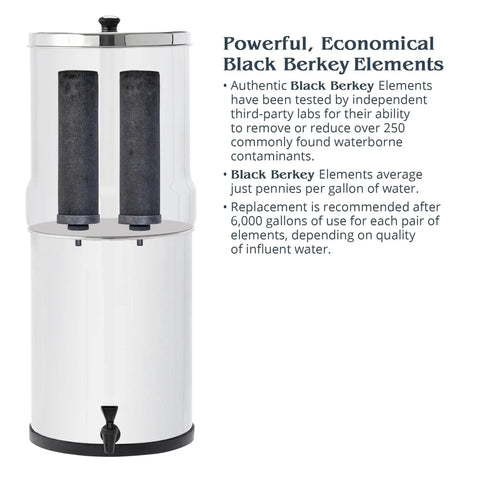 Gravity-Fed Water Filter System With Two High-Capacity Filtration Elements And Deluxe 7-Inch Stainless Steel Water View Spigot