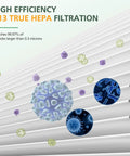 H13 True HEPA filter capturing particles for 2 Pack HP01 HP02 Replacement Filter For Desk Purifiers DP01 DP02 DP03
