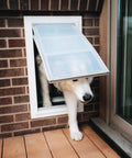 Top Shelf Double Flap Pet Door For Deep Walls Up To 13 Inches with dog exiting frame, heavy duty aluminum, glossy black finish.