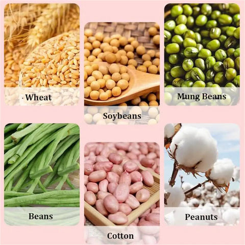 Collage of various seeds and crops including wheat, soybeans, mung beans, green beans, peanuts, and cotton on a pink background.