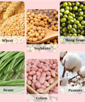 Collage of various seeds including wheat, soybeans for All In One Handheld Garden Seeder And Planter With Automatic Seed Replenishment