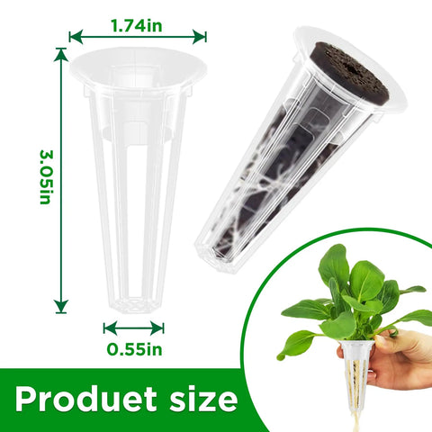 50 Pack Hydroponic Grow Baskets For Indoor Garden Systems shown with measurement dimensions and plant growth example