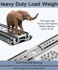 Elephant on top of Beefy Heavy Duty Drawer Slides From 10 To 72 Inches With Lock 220kg Load Capacity Full Extension Ball Bearing Side Mount Rails Built Tough For Smooth Safe Drawer Operation