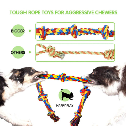 Dogs playing with indestructible rope chew toys set for aggressive chewers, heavy duty dental rope toys for large breeds