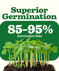 Young seedlings highlighting 85-95% germination rate for Survival Seed Vault With 55 Heirloom Varieties And 28000 Seeds Non GMO.