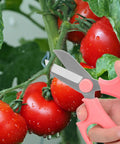 Flower Pruning Scissors For Gardening Strong Floral Shears With Premium Steel Blade snipping tomato vine in garden