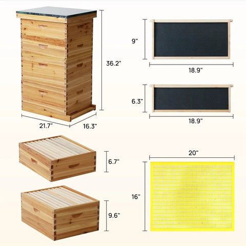 10 Frame Langstroth Beehive With 100 Percent Beeswax Coating Includes Frames And Foundations In Two Deep Boxes And Two Medium Boxes