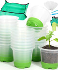 All In One Reusable Seed Starter Kit With 26 Clear 4 Inch Pots Silicone Base And Drainage For Easy Transplant Includes Repotting Mat Gardening Gloves 26 Plant Labels And 2 Seedling Tools For A Green Thumb Friendly Garden on display