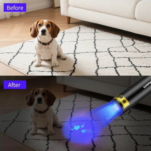 Before and after use of 365 Nanometer Mini Black Light UV Flashlight With USB Rechargeable Power Portable Woods Lamp revealing pet stains