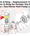 Diagram of Replacement 354533 Cover O-Ring for Pentair Sta-Rite Dynamo Sea Horse Pool Pumps, highlighted with an arrow.