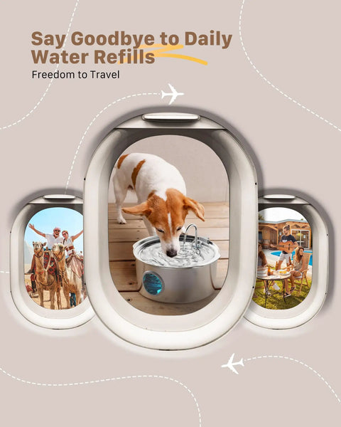 Dog drinking from 7L Large Breed Pet Water Fountain Stainless Steel Quiet Indoor Dog Waterer For Large Dogs And Cats In Multi Pet Homes.