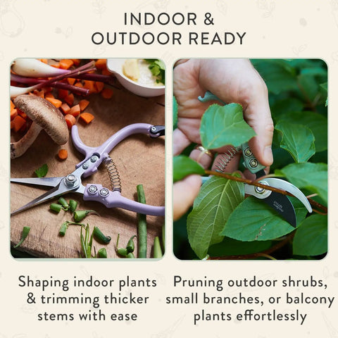 Hand Pruners And Shears Set In Sage With Blister Pack Lightweight Garden Gear Easy Lock Sharp Carbon Steel Blades displayed.