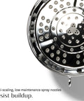 Close-up of adjustable chrome shower head with chlorine filter and mineral water filtration; anti-scaling nozzles shown.