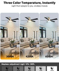 Straight Up Stunning 52 Inch Low Profile Gold Ceiling Fan With Huge LED Light Panel Plus Smart App Remote Control For A Total Room Refresh Plus Chill Ambiance with three color temperature settings.