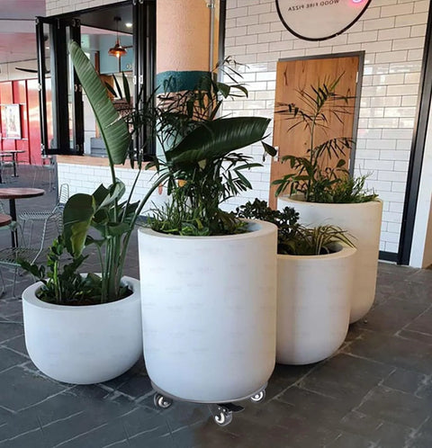 Heavy Duty Plant Caddy On Wheels With 3.0mm Aluminum Alloy Frame Supporting Large Round Pots, Visible On Stone Floor