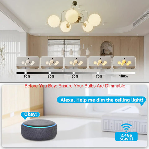 Wireless Dimmer Switch Kit With Remote Receiver For Alexa Voice Control dimming ceiling lamps, Alexa device displayed