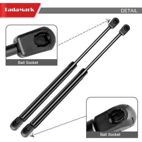 20 Inch Gas Strut Lift Support 40Lb For RV Camper Motorhome Boat Doors Hatches Cabinets Storage TV Mounts Toolbox Lids Beefed Up Heavy Duty Shock Spring Pair Ready To Install with ball socket detail