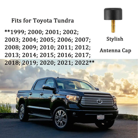 Toyota Antenna Delete Cap Kit No Frills Aluminum T6061 Low Profile Tundra Car Wash Safe Easy Install Antenna Replacement