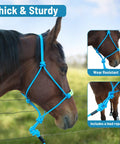 Lightweight Horse Rope Training Halter With Continuous Rope Reins No Breakable Hardware For Easy Use And Safe Handling, blue halter on horse