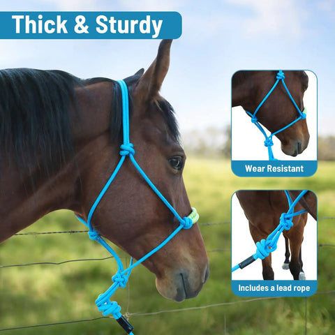Lightweight Horse Rope Training Halter With Continuous Rope Reins No Breakable Hardware For Easy Use And Safe Handling, blue halter on horse