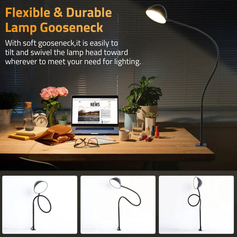 Gooseneck Clip Desk Lamp With Clamp, 10W 1100 Lumens, 31 Inch Flexible Arm, USB Powered, shown on desk in home office setting.