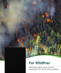 Image of Six Pack Carbon Pre Filter for Honeywell HPA300 Series with forest fire backdrop, showing smoke filtration capability.