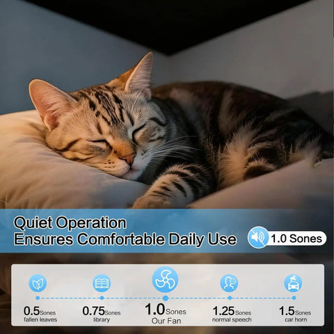 Cat sleeping peacefully in dim light with text highlighting quiet operation at 1.0 sones for comfortable daily use, noise comparisons shown